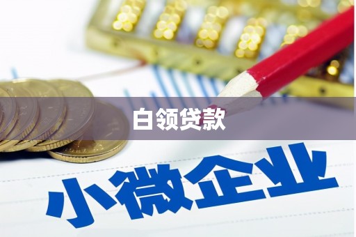 成功白领贷款