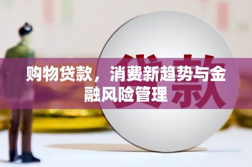 成功购物贷款，消费新趋势与金融风险管理