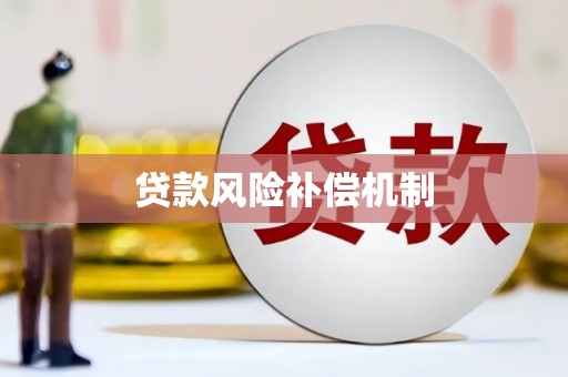 成功贷款风险补偿机制