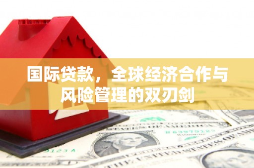 成功国际贷款，全球经济合作与风险管理的双刃剑