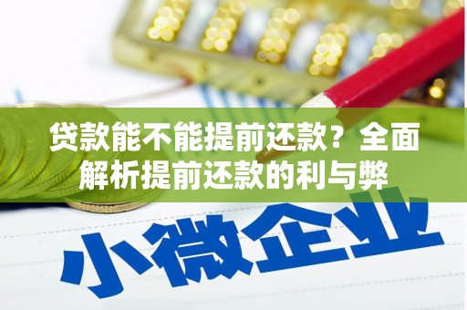 成功贷款能不能提前还款？全面解析提前还款的利与弊