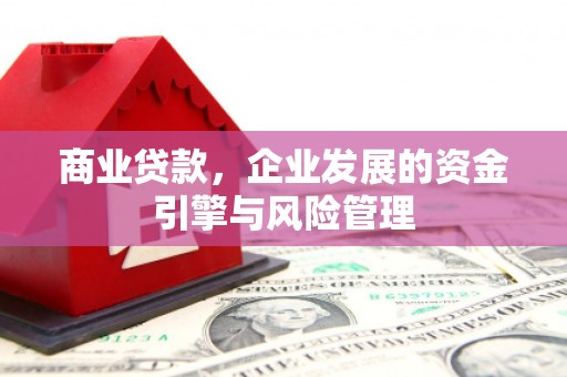 成功商业贷款，企业发展的资金引擎与风险管理