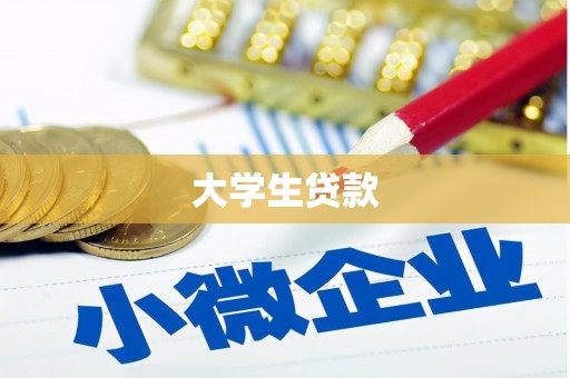 成功大学生贷款