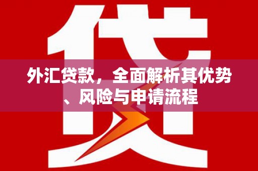 成功外汇贷款，全面解析其优势、风险与申请流程