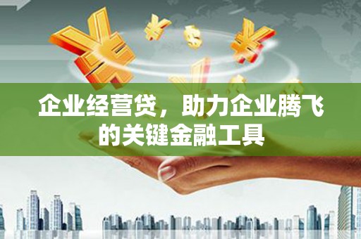 成功企业经营贷，助力企业腾飞的关键金融工具