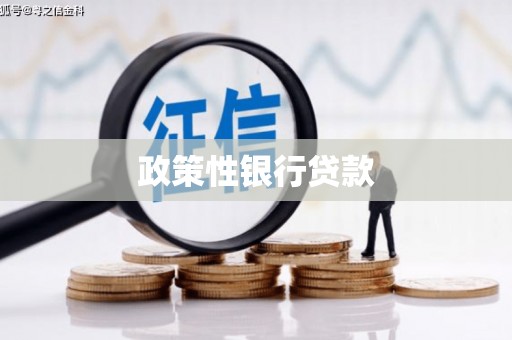 成功政策性银行贷款