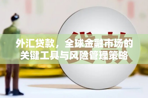 成功外汇贷款，全球金融市场的关键工具与风险管理策略