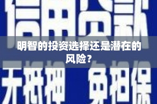 成功明智的投资选择还是潜在的风险？