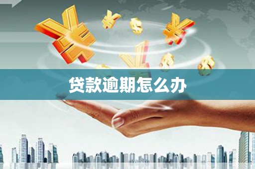 成功贷款逾期怎么办