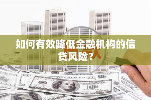 成功如何有效降低金融机构的信贷风险？