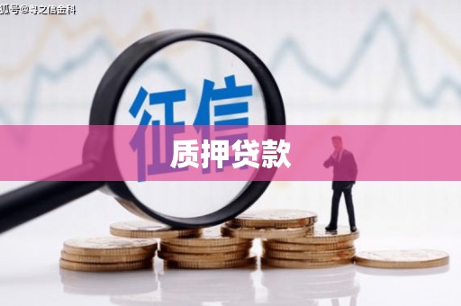 成功质押贷款