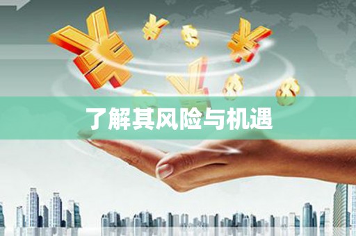 成功了解其风险与机遇