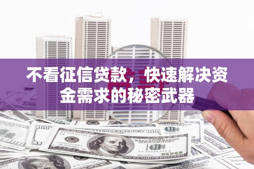 成功不看征信贷款，快速解决资金需求的秘密武器