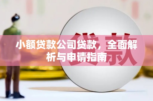 成功小额贷款公司贷款，全面解析与申请指南