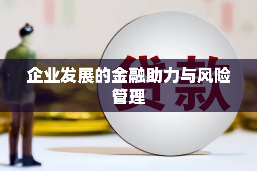 成功企业发展的金融助力与风险管理