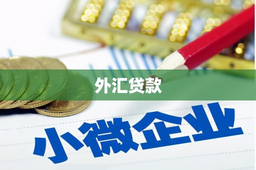 成功外汇贷款