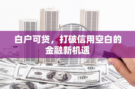 成功白户可贷，打破信用空白的金融新机遇