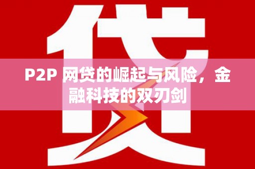 成功P2P 网贷的崛起与风险，金融科技的双刃剑