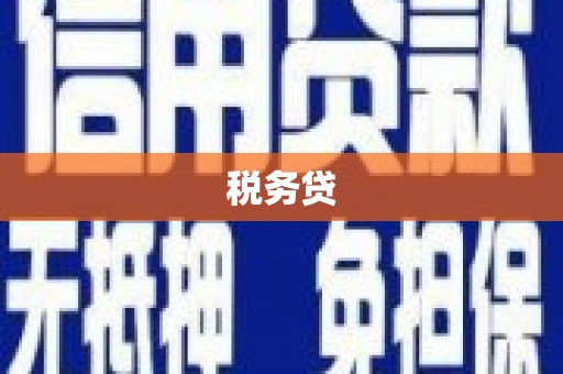 成功税务贷