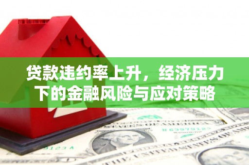成功贷款违约率上升，经济压力下的金融风险与应对策略