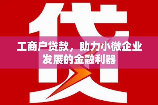 成功工商户贷款，助力小微企业发展的金融利器