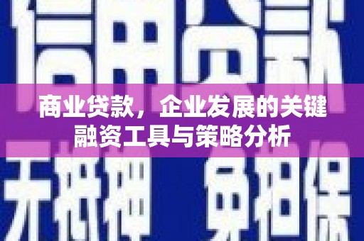 成功商业贷款，企业发展的关键融资工具与策略分析
