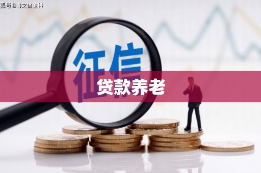 成功贷款养老