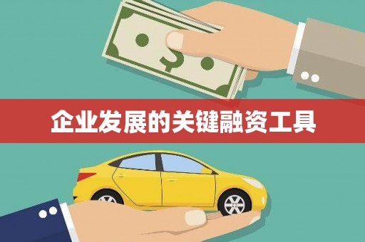 成功企业发展的关键融资工具