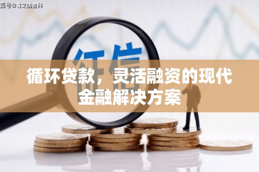 成功循环贷款，灵活融资的现代金融解决方案