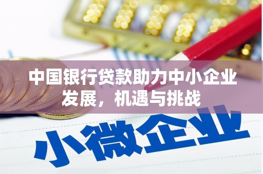 成功中国银行贷款助力中小企业发展，机遇与挑战