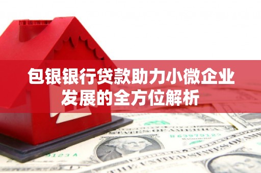 成功包银银行贷款助力小微企业发展的全方位解析