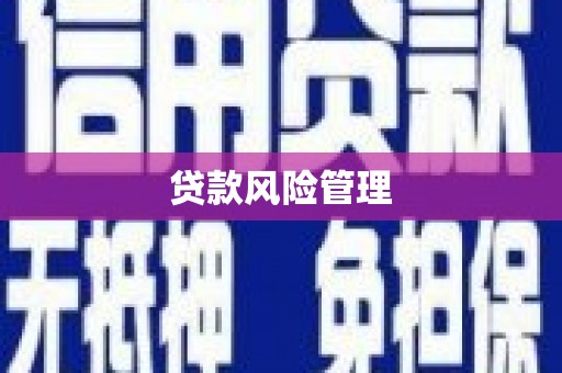 成功贷款风险管理