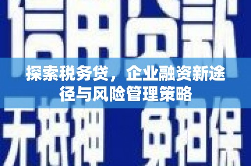 成功探索税务贷，企业融资新途径与风险管理策略