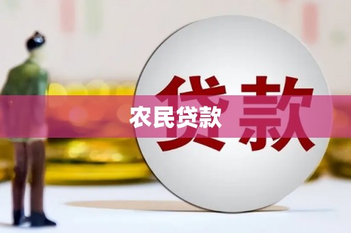 成功农民贷款