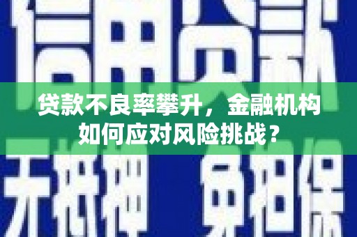 成功贷款不良率攀升，金融机构如何应对风险挑战？