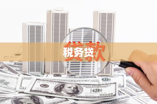 成功税务贷