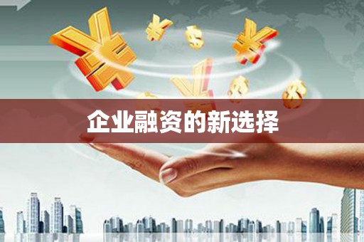 成功企业融资的新选择