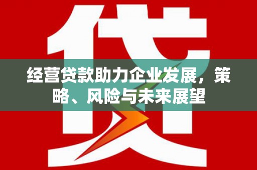 成功经营贷款助力企业发展，策略、风险与未来展望