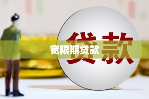 成功宽限期贷款