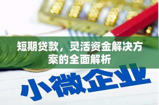 成功短期贷款，灵活资金解决方案的全面解析