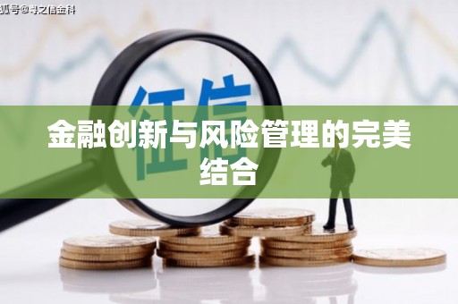 成功金融创新与风险管理的完美结合