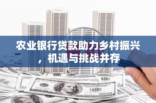 成功农业银行贷款助力乡村振兴，机遇与挑战并存