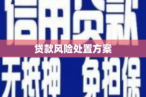 成功贷款风险处置方案