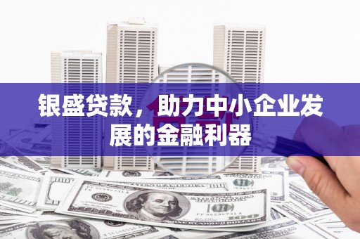成功银盛贷款，助力中小企业发展的金融利器