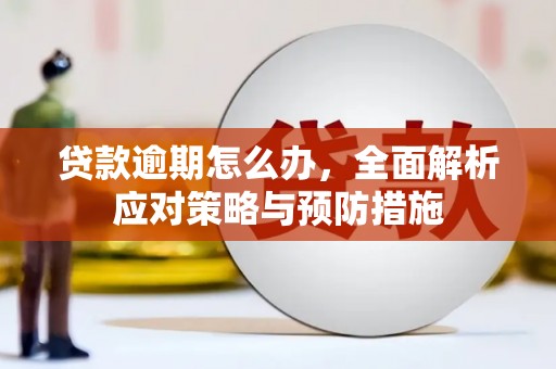 成功贷款逾期怎么办，全面解析应对策略与预防措施