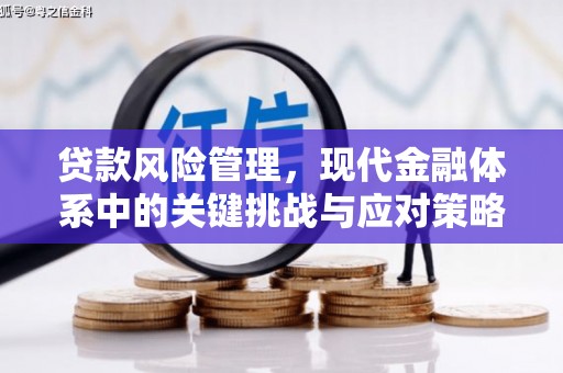 成功贷款风险管理，现代金融体系中的关键挑战与应对策略