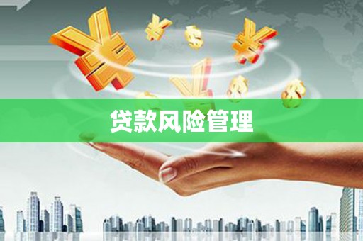 成功贷款风险管理