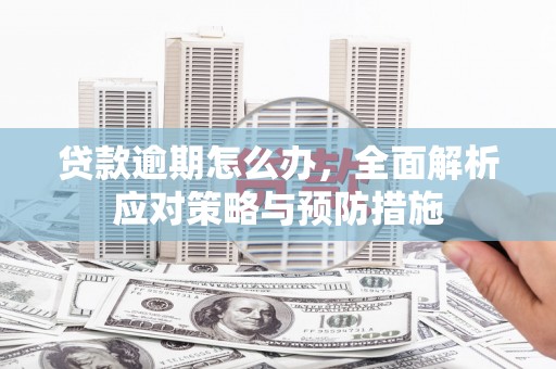 成功贷款逾期怎么办，全面解析应对策略与预防措施