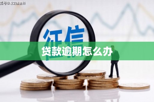 成功贷款逾期怎么办