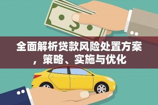 成功全面解析贷款风险处置方案，策略、实施与优化